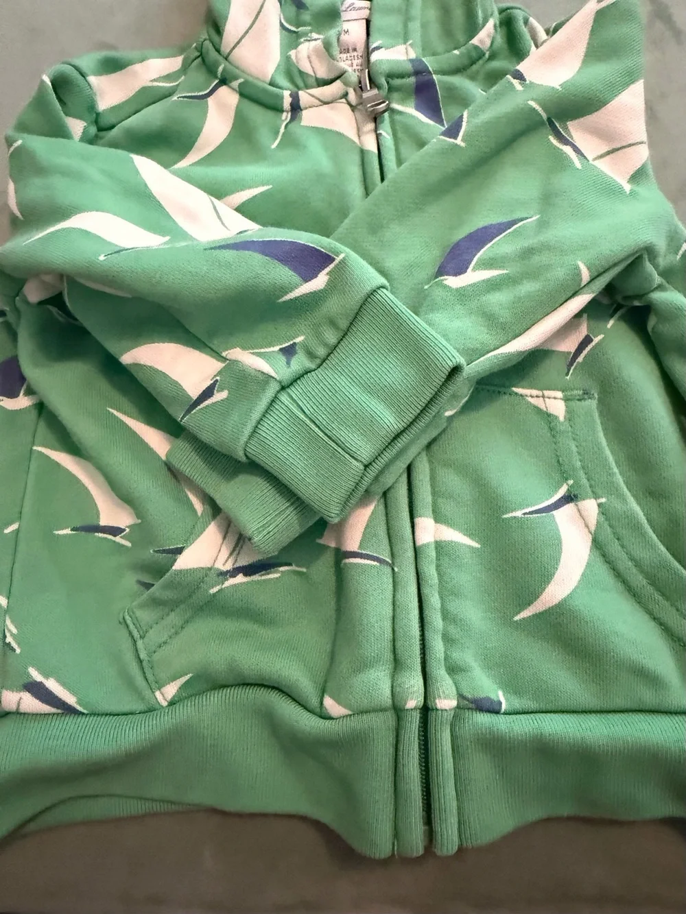 Ralph Lauren Baby Boy Green Sailboat Hoodie